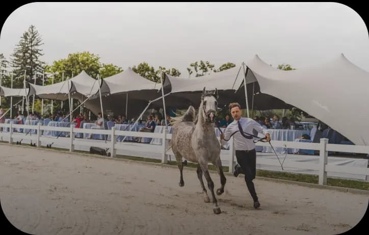 Eventos deportivos
