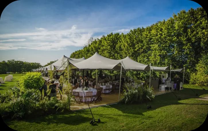Bodas